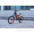 China supply hot selling the electric bike for advertising
